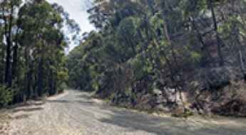 Walhalla Road