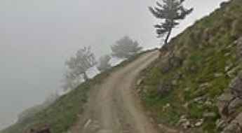 Rifugio Selleries