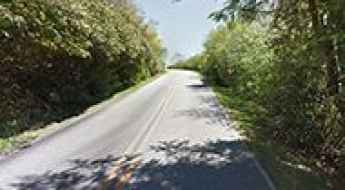 Brasstown Bald
