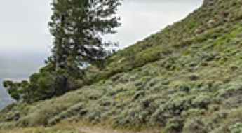 Hager Mountain