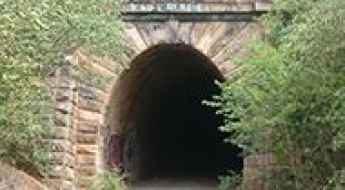 Mushroom Tunnel