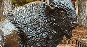 Planning a Trip to Colorado? Don’t Skip These Four Cities That Travelers Can’t Stop Talking About