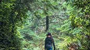 Top 5 Hiking Trails in the USA to Improve Your Well-Being and Relationship