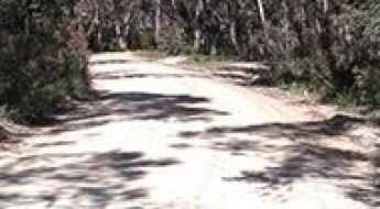 Glowworm Tunnel Road