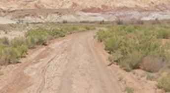 Wild Horse Road