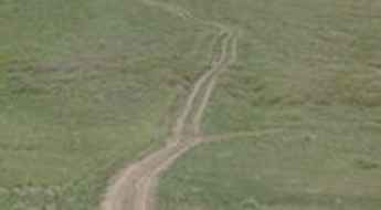 Bean Hill