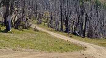 Darland Mountain