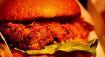 Foodie Road Trip: Must-Try Dishes Across the United States