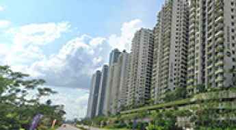 Forest City
