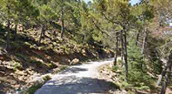 Pico de los Reales