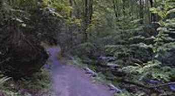 Roaring Fork Motor Nature Trail