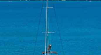 Things to Do in Praslin - From Vallée de Mai to Boat Rental Adventures
