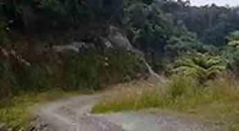 Kiwi Road