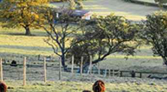 7 Things to Consider Before Visiting England's Countryside