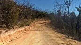 Asses Ears Road
