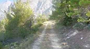 Bast-Veliko Brdo Road