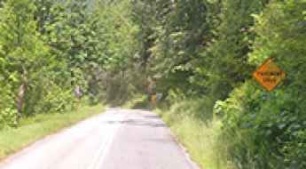 Dosewallips River Road