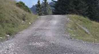 Feistritzer Alm