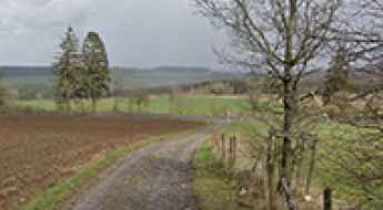 Kneiff