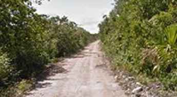 Carretera a Laguna Salada