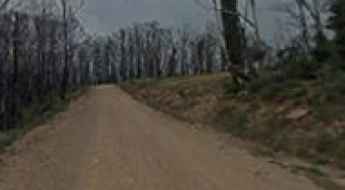 Dargo High Plains Road