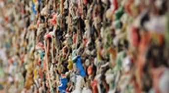 Gum Alley