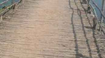 Kolleru Wood Bridge