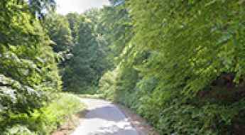 Nymfaio to Ano Ydrousa Mountain Road