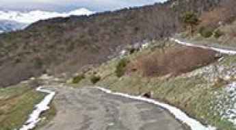 Road D93