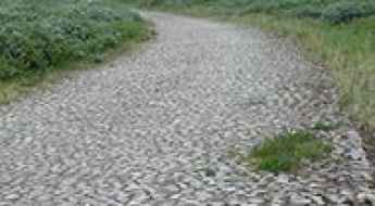 Road of life