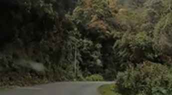 Why Are Costa Rica’s Roads So Dangerous?