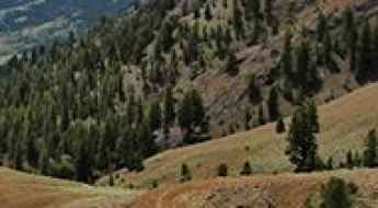 Bear Creek Summit