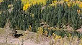 Bear Lake
