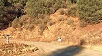 Buffalo Gulch Road
