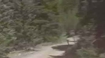 Lake Creek Road