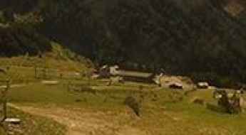 Les Marmotes
