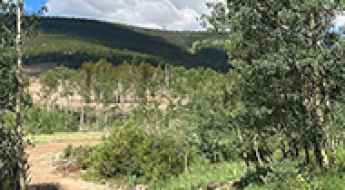 Sheep Ridge