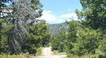 Strawberry Peak
