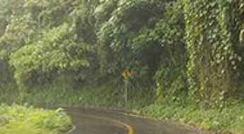 Mexico 175 (Tuxtepec Road)
