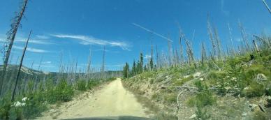 The road to Columbia Ridge is not for the faint of heart