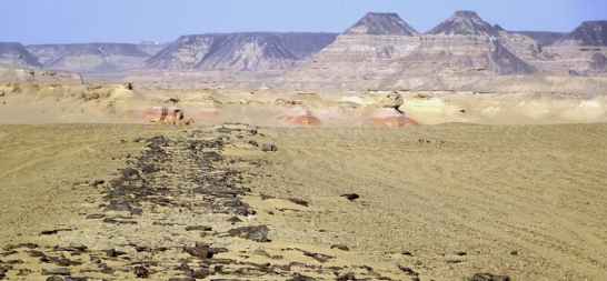Giza Road is the world's oldest known paved road