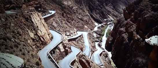果樹 Del Morocco f0fe0ce6-6d04-4055-a051-