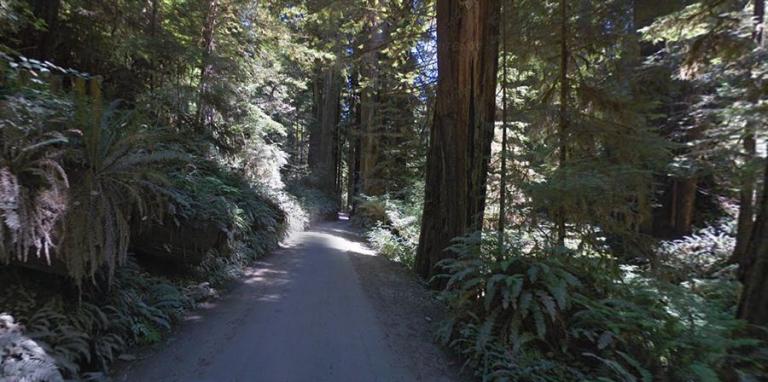 Driving the scenic Howland Hill Road in California