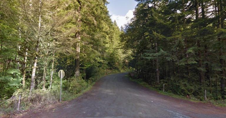 A steep unpaved road to the summit of Mount Walker in Washington
