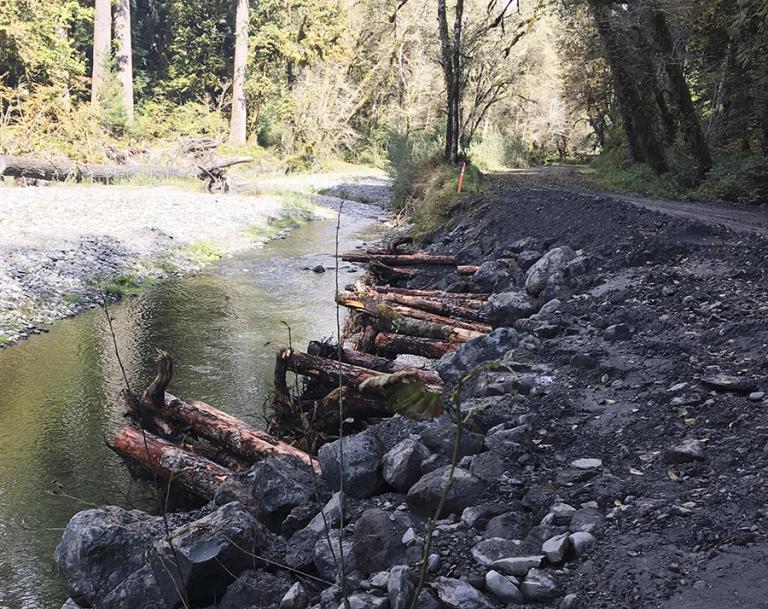 The Ultimate Guide to Traveling the Graves Creek Road in WA