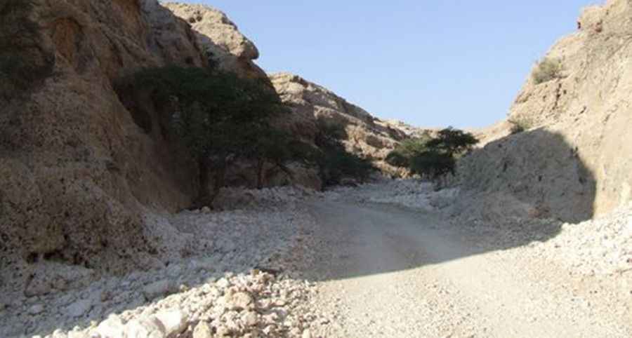 Road to Quran