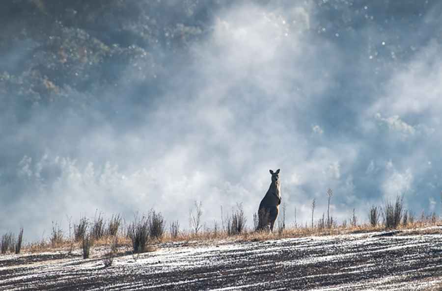 Adrenaline-Pumping Activities for Your Trip to Australia
