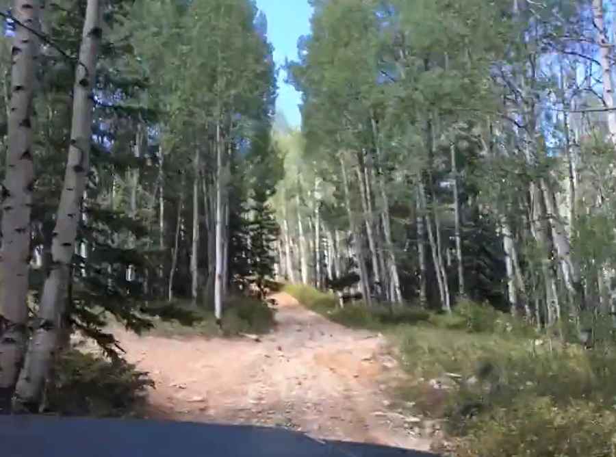Browns Pass 