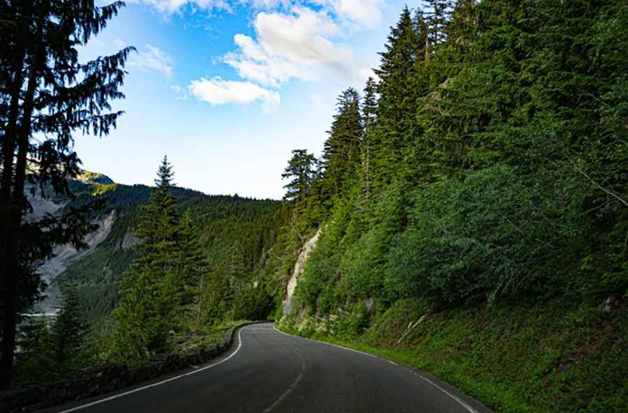 A narrow unpaved forest road climbing through pine trees on a steep mountainside