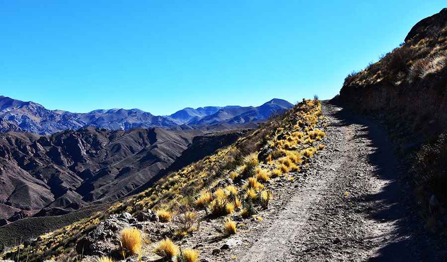 Paso de San Buenaventura
